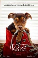 Watch A Dog's Way Home 0123movies