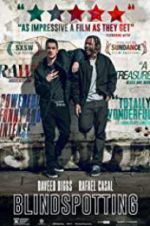 Watch Blindspotting 0123movies