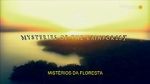 Watch Mysteries of the Rainforest 0123movies