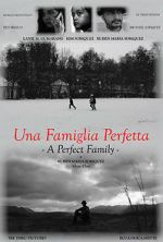 Watch A Perfect Family 0123movies