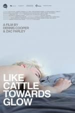Watch Like Cattle Towards Glow 0123movies