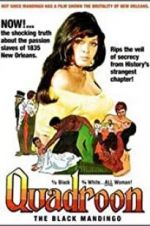 Watch Quadroon 0123movies