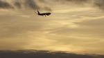 Watch The Man Who Fell from the Sky 0123movies