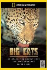 Watch National Geographic: Living With Big Cats 0123movies