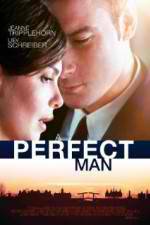 Watch A Perfect Man 0123movies