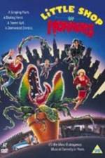 Watch Little Shop of Horrors 0123movies