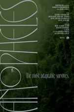 Watch Anopheles 0123movies
