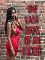 Watch The Last Days of an Escort 0123movies