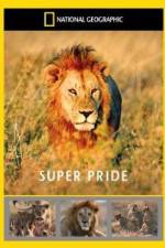 Watch National Geographic: Super Pride Africa\'s Largest Lion Pride 0123movies