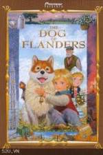 Watch The Dog of Flanders 0123movies