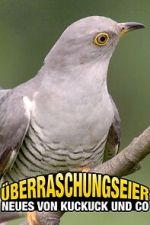 Watch �berraschungseier: Neues von Kuckuck und Co. 0123movies