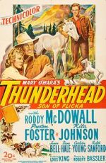 Watch Thunderhead: Son of Flicka 0123movies