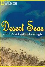 Watch Desert Seas 0123movies