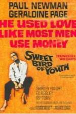 Watch Sweet Bird of Youth 0123movies