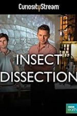 Watch Insect Dissection: How Insects Work 0123movies
