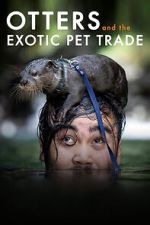 Watch Otters and the Exotic Pet Trade 0123movies