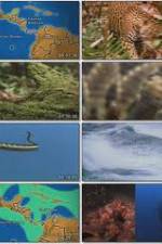 Watch National Geographic:  Worlds Deadliest Animals - North America 0123movies
