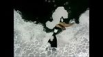 Watch Ain\'t that Ducky (Short 1945) 0123movies