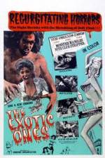 Watch The Exotic Ones 0123movies