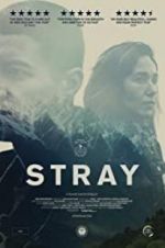 Watch Stray 0123movies