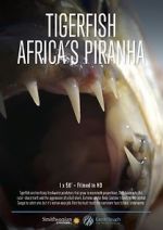 Watch Tigerfish 0123movies