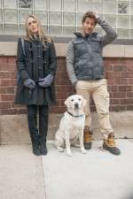 Watch Who Gets the Dog? 0123movies