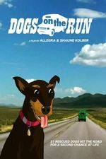 Watch Dogs on the Run 0123movies