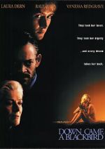 Watch Down Came a Blackbird 0123movies