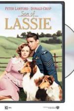 Watch Son of Lassie 0123movies