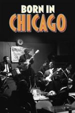 Watch Born In Chicago 0123movies