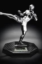 Watch World MMA Awards 2010 0123movies