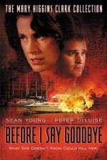 Watch Before I Say Goodbye 0123movies