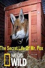 Watch The Secret Life of Mr. Fox 0123movies