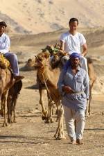 Watch Secrets Of The Arabian Nights 0123movies