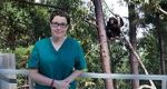 Watch Sue Perkins and the Chimp Sanctuary 0123movies