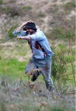 Watch Riot or Revolution: Eureka Stockade 1854 0123movies