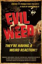 Watch Evil Weed 0123movies