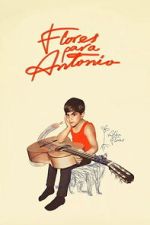 Watch Flores para Antonio 0123movies