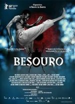 Watch The Assailant 0123movies