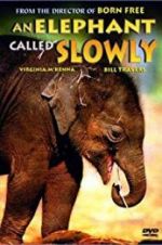Watch An Elephant Called Slowly 0123movies