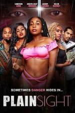 Watch Plain Sight 0123movies
