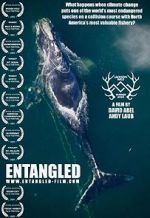 Watch Entangled: The Race to Save Right Whales from Extinction 0123movies