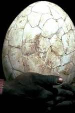 Watch Attenborough And The Giant Egg 0123movies