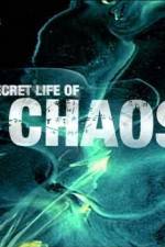 Watch The Secret Life of Chaos 0123movies