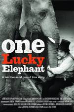 Watch En lycklig elefant 0123movies