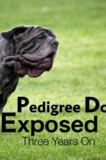 Watch Pedigree Dogs Exposed, Three Years On 0123movies