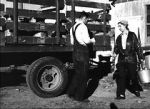 Watch The Cummington Story 0123movies