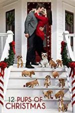 Watch 12 Pups of Christmas 0123movies