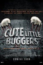 Watch Cute Little Buggers 0123movies