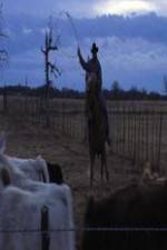 Watch Cowboy Christmas 0123movies